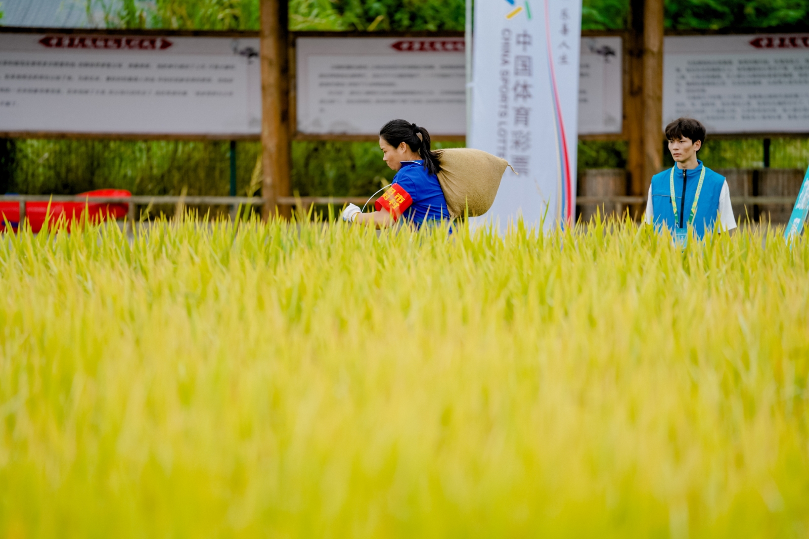 湖南BG大游管理有限公司